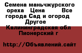 Семена маньчжурского ореха › Цена ­ 20 - Все города Сад и огород » Другое   . Калининградская обл.,Пионерский г.